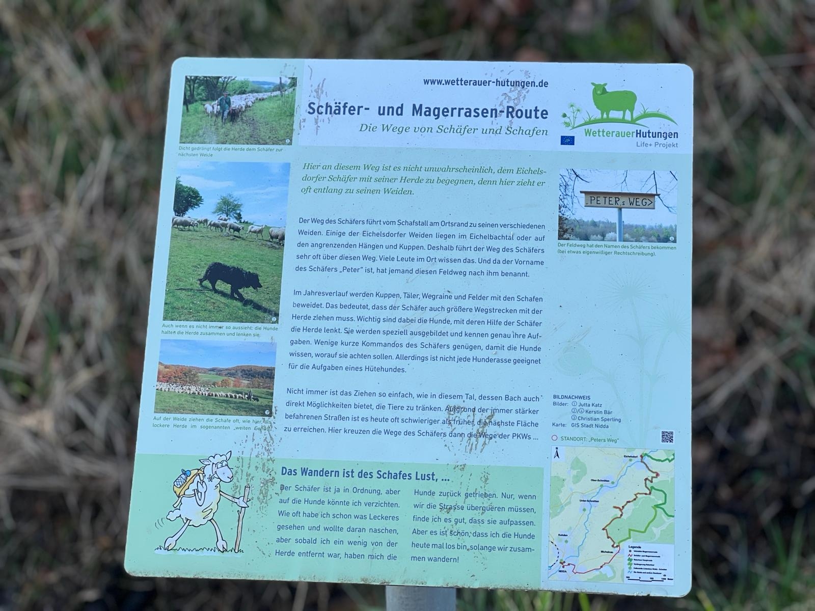 Schäfer- und Magerrasen-Route